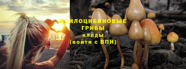первитин Балахна