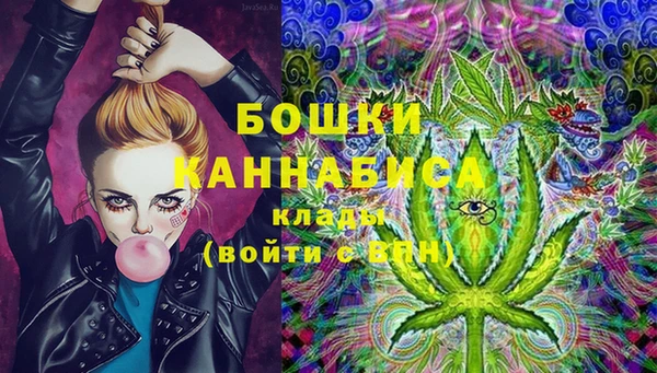 индика Покров