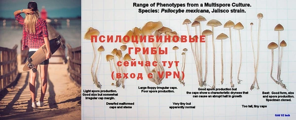 гашиш Покровск